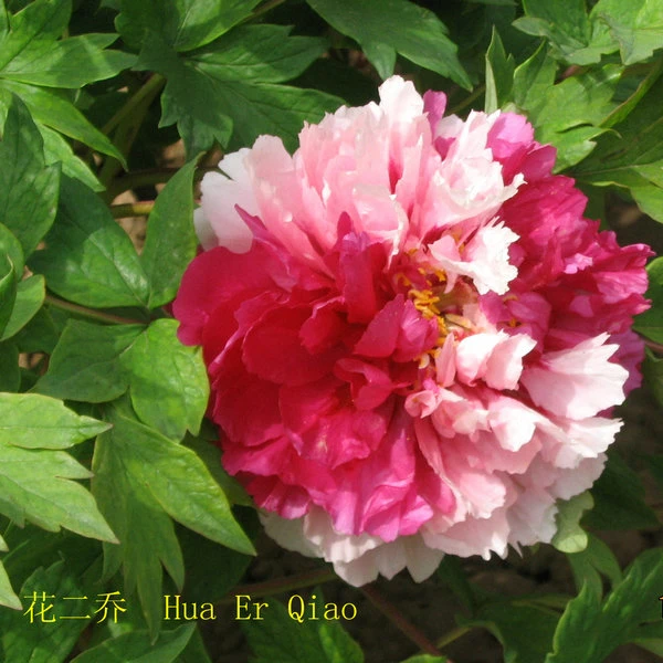 image001 image001